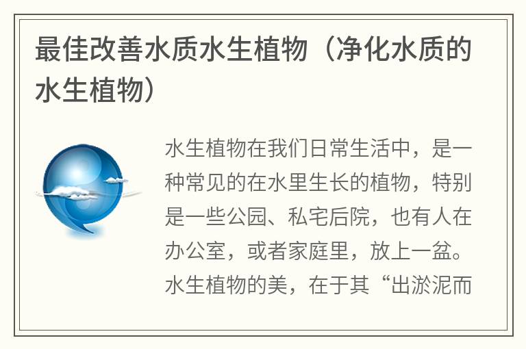 最佳改善水質水生植物(凈化水質的水生植物)