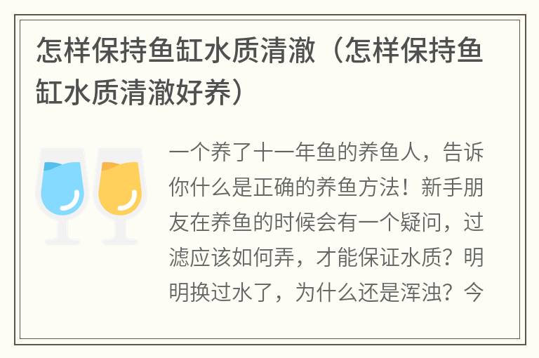 怎樣保持魚缸水質清澈(怎樣保持魚缸水質清澈好養)