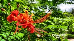 土壤有機質檢測儀有什么作用?