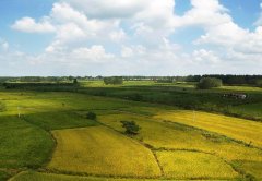 土壤水分測(cè)定儀實(shí)現(xiàn)農(nóng)業(yè)精細(xì)化發(fā)展