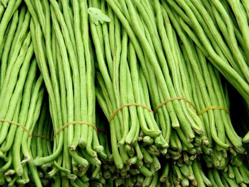 豆角中含有滅蠅胺？怎么解決