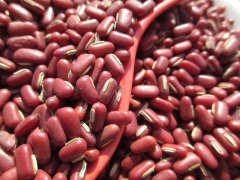 紅豆的產量多少，施肥是關鍵