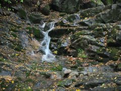 霍爾德余氯分析儀，可用于水源保護工作