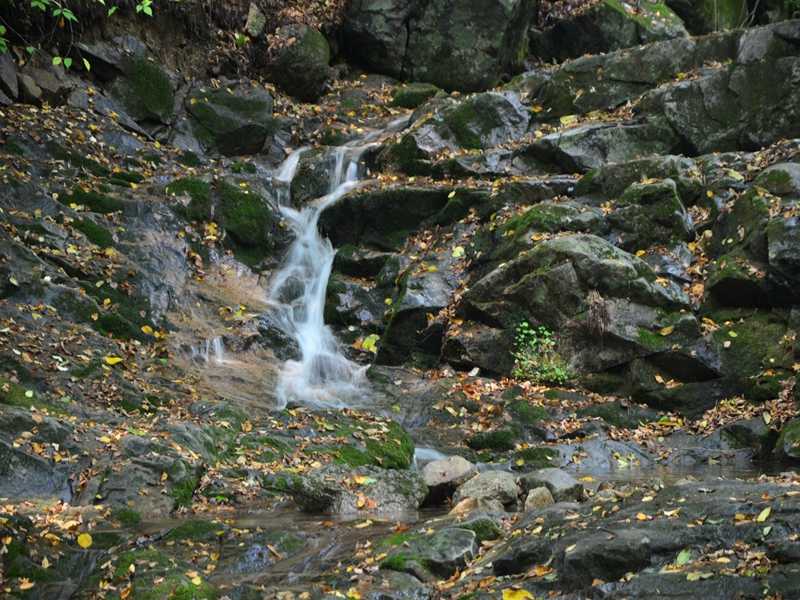 霍爾德余氯分析儀,可用于水源保護工作 霍爾德余氯分析儀,可用于水源保護工作