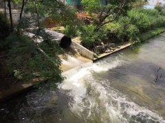 便攜式余氯測定儀，可準確分析水體狀況