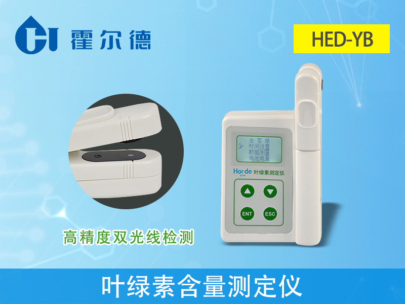 葉綠素含量會影響植物生長嗎 葉綠素含量會影響植物生長嗎